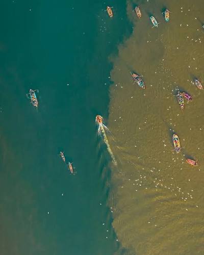 Aerial confluence of two rivers in a rainforest